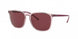 Ray-Ban 4387 Sunglasses