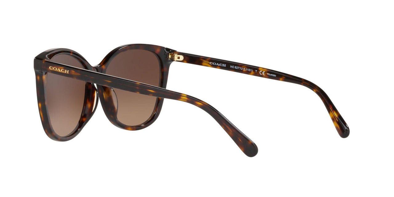 5120T5 - Havana - Dark Brown Gradient Polar