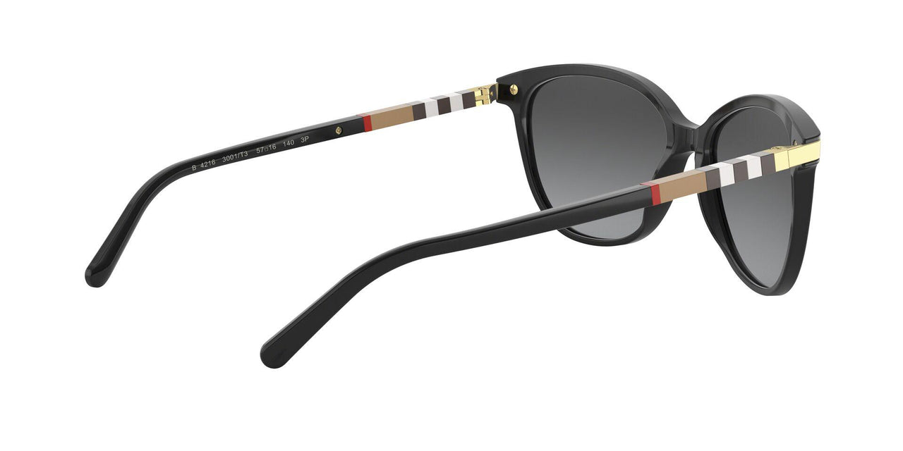 3001T3 - Black - Polar Grey Gradient