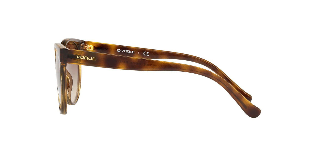 W65613 - Havana - Brown Gradient