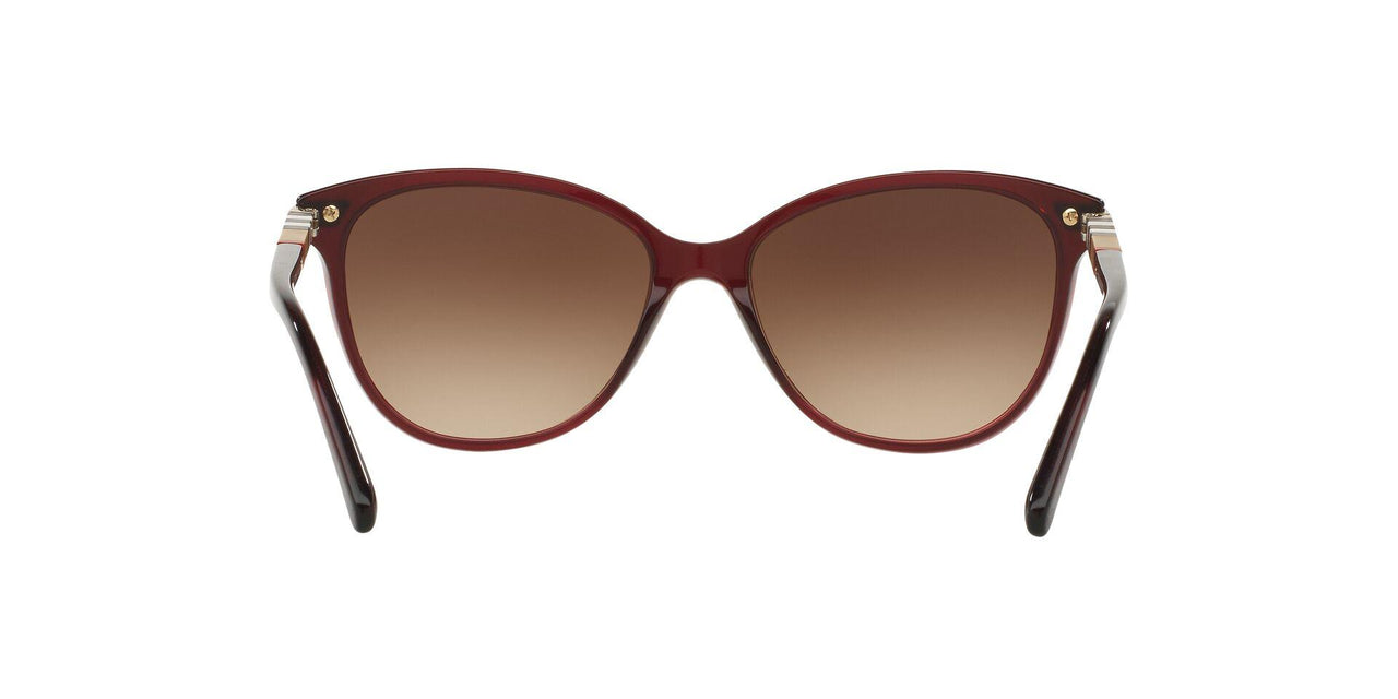 301413 - Bordeaux - Brown Gradient