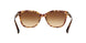 528713 - Light Brown - Brown Gradient