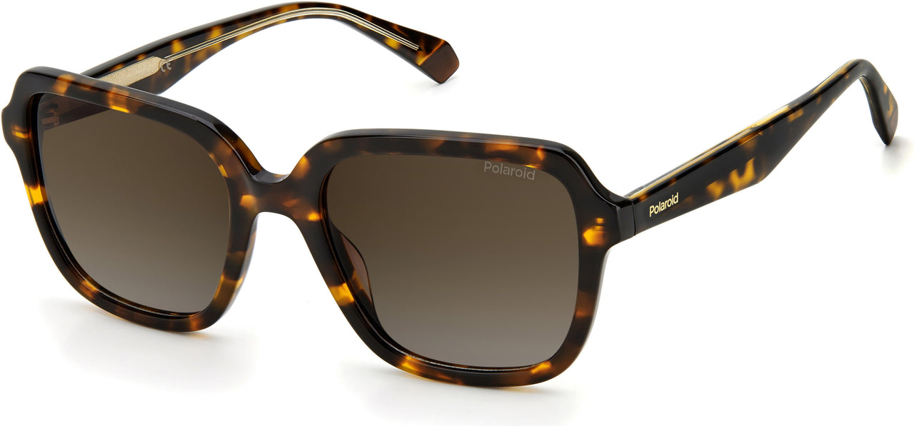 0086-LA - Dark Havana - Brown Gradient Polz