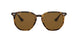 710/83 - Havana - Polar Brown