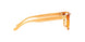 1725 - Amber Tortoise