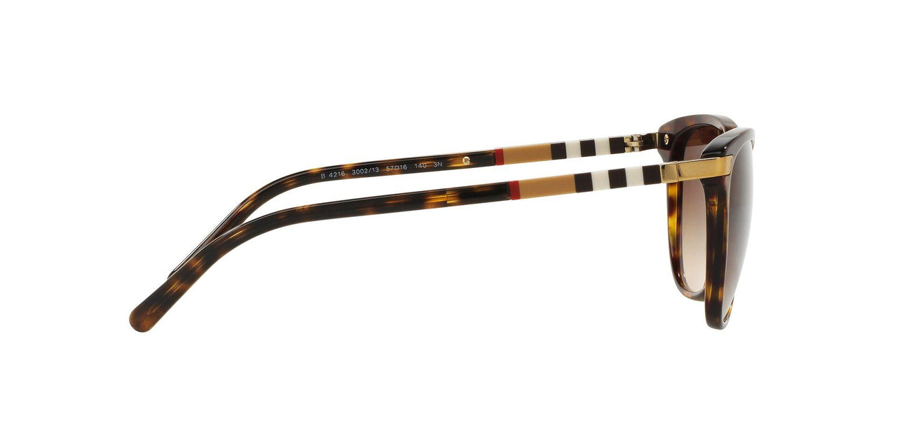 300213 - Havana - Brown Gradient