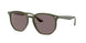 Ray-Ban 4306 Sunglasses