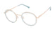 Ted Baker B988 Eyeglasses