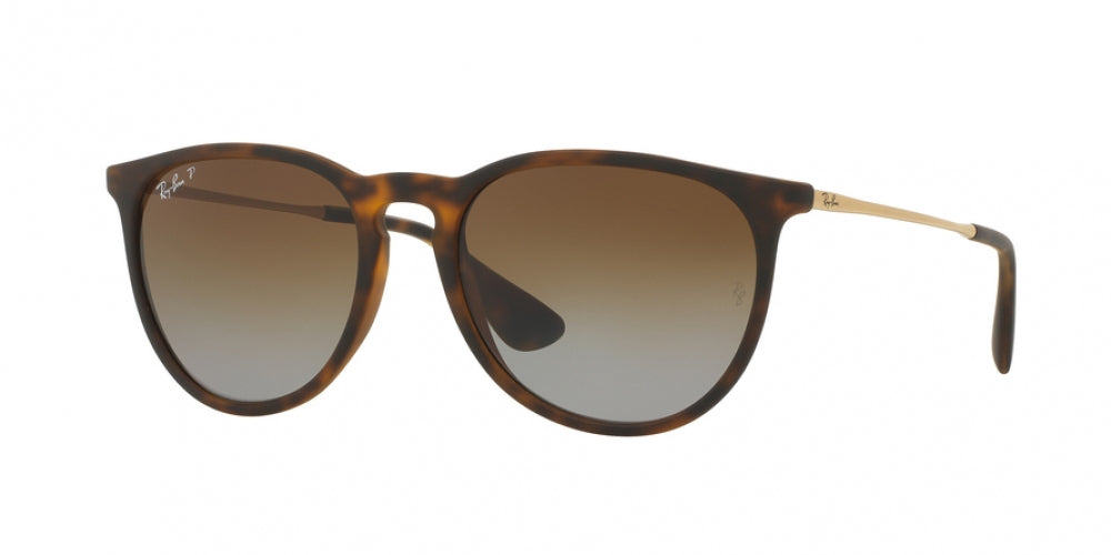 Ray-Ban Erika 4171 Sunglasses