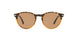 905653 - Havana - Brown