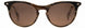 STATE Optical Co. AUGUSTASW Sunglasses