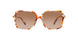 377613 - Havana - Brown Gradient