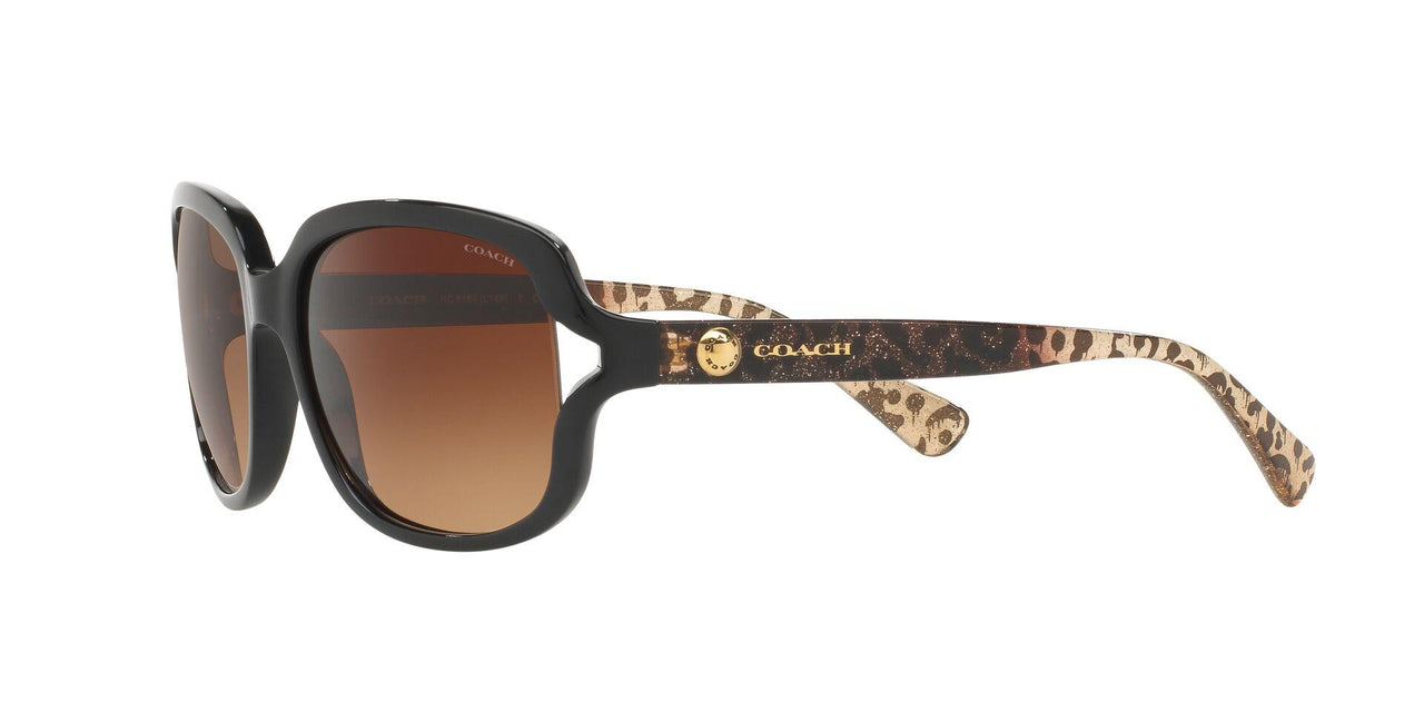 535313 - Black - Brown Gradient