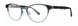 Vera Wang V395 Eyeglasses