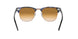 125651 - Havana - Clear Gradient Brown