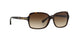 500113 - Havana - Brown Gradient