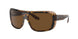 Ray-Ban Blair 2196 Sunglasses