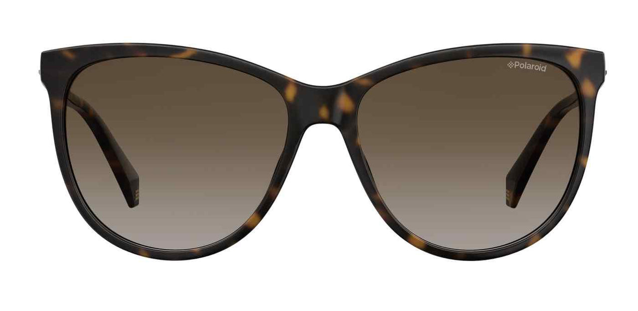 0086-LA - Dark Havana - Brown Gradient Polz Lens
