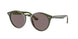 Ray-Ban 2180F Sunglasses