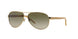 101/13 - Gold - Brown Gradient