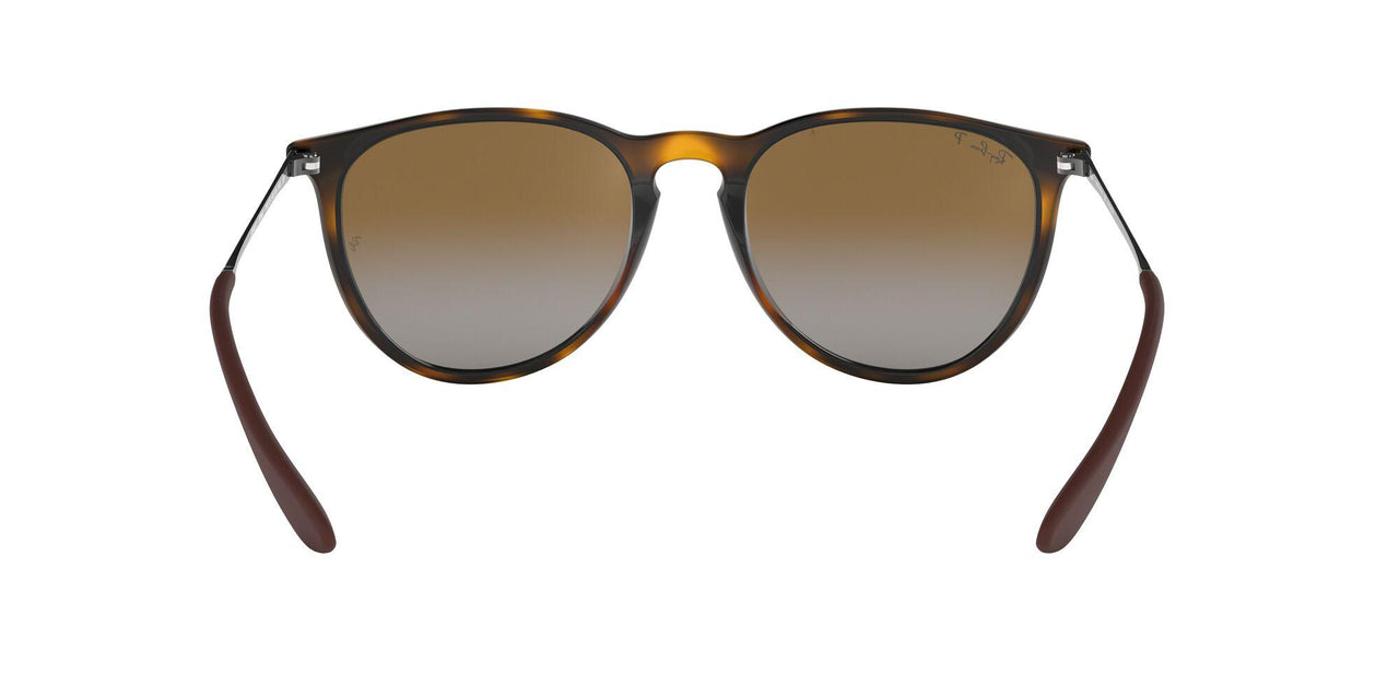 710/T5 - Havana - Polar Brown Gardient