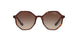 238613 - Brown Gradient