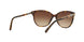 300213 - Havana - Brown Gradient