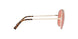 101484 - Gold - Coral Solild