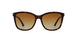 5026T5 - Havana - Polar Brown Gradient
