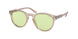 Polo 4172 Sunglasses