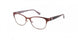 009Q-00 - Brown