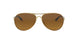 407911 - Gold - Brown Gradient Polarized