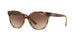 W65613 - Havana - Brown Gradient