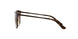 934S13 - Brown - Brown Gradient