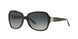 501/T3 - Black - Polar Gray Gradient