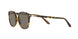 1079R5 - Green - Grey