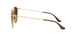 900985 - Gold Top Brown - Brown Gradient