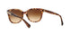 528713 - Light Brown - Brown Gradient