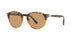 905653 - Havana - Brown