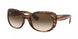 Ray-Ban 4325 Sunglasses