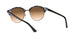 125651 - Havana - Clear Gradient Brown