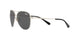 901587 - Shiny Silver - Dark Grey Solid