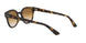 710/51 - Havana - Clear Gradient Brown