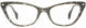 STATE Optical Co. BELLEVUEGF Eyeglasses