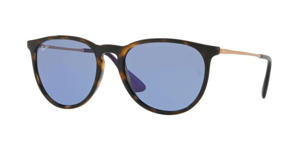 Ray-Ban Erika 4171 Sunglasses