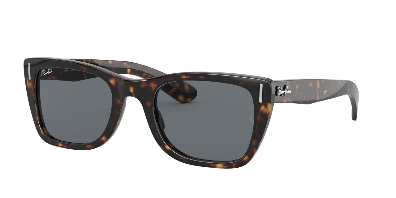 Ray-Ban Caribbean 2248 Sunglasses