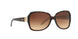 601/13 - Havana - Brown Gradient