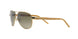101/13 - Gold - Brown Gradient