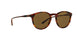 501773 - Havana - Olive Green