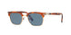 107256 - Brown - Light Blue